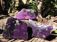 Polished On One Side Purpurite Specimens x 7 From Namibia