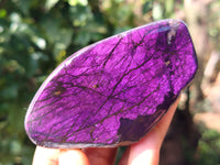 Polished On One Side Purpurite Specimens x 7 From Namibia