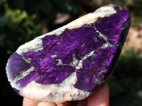 Polished On One Side Purpurite Specimens x 7 From Namibia