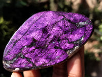 Polished On One Side Purpurite Specimens x 7 From Namibia