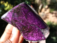 Polished On One Side Purpurite Specimens x 7 From Namibia