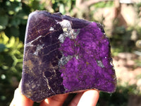 Polished On One Side Purpurite Specimens x 7 From Namibia