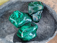 Polished Flower Banded Malachite Free Forms x 6 From Congo