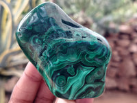 Polished Flower Banded Malachite Free Forms x 6 From Congo