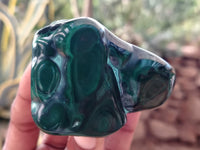 Polished Flower Banded Malachite Free Forms x 6 From Congo