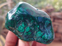 Polished Flower Banded Malachite Free Forms x 6 From Congo