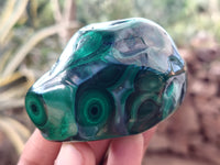 Polished Flower Banded Malachite Free Forms x 6 From Congo