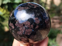 Polished Rare Iolite Spheres with Pink Feldspar Spots x 2 From Madagascar