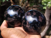 Polished Rare Iolite Spheres with Pink Feldspar Spots x 2 From Madagascar