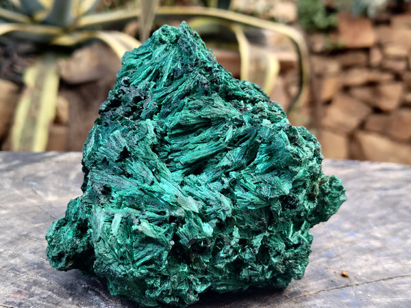 Natural Silky Malachite Specimens x 1 From Kasompe, Congo