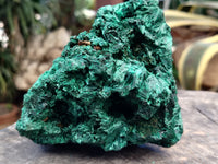 Natural Silky Malachite Specimens x 1 From Kasompe, Congo