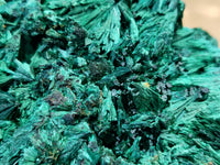 Natural Silky Malachite Specimens x 1 From Kasompe, Congo