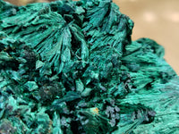 Natural Silky Malachite Specimens x 1 From Kasompe, Congo