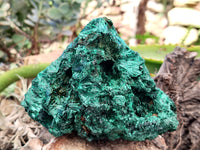 Natural Silky Malachite Specimens x 1 From Kasompe, Congo