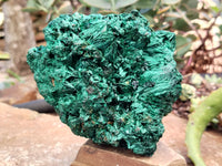 Natural Silky Malachite Specimens x 1 From Kasompe, Congo