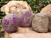 Polished Stichtite Standing Free Forms x 6 From Barberton, South Africa