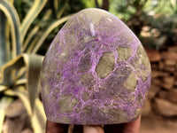 Polished Stichtite Standing Free Forms x 6 From Barberton, South Africa