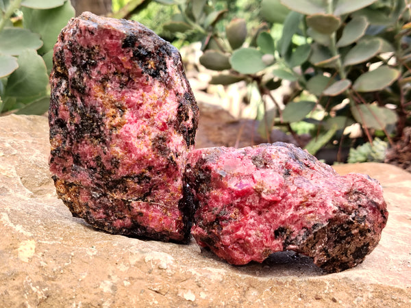 Natural Rhodonite Cobbed Specimens x 6 From Rhusinga, Zimbabwe