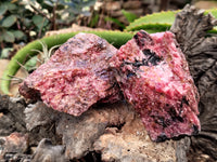 Natural Rhodonite Cobbed Specimens x 6 From Rhusinga, Zimbabwe