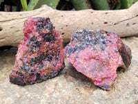 Natural Rhodonite Cobbed Specimens x 6 From Rhusinga, Zimbabwe