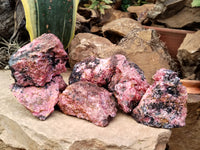 Natural Rhodonite Cobbed Specimens x 6 From Rhusinga, Zimbabwe