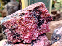 Natural Rhodonite Cobbed Specimens x 6 From Rhusinga, Zimbabwe