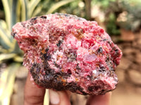 Natural Rhodonite Cobbed Specimens x 6 From Rhusinga, Zimbabwe