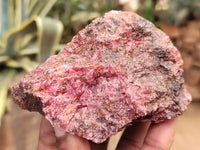 Natural Rhodonite Cobbed Specimens x 6 From Rhusinga, Zimbabwe