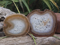 Polished Agate Slice x 4 From Brazil