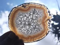 Polished Agate Slice x 4 From Brazil