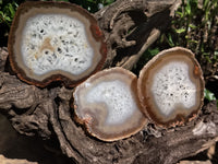 Polished Agate Slice x 4 From Brazil