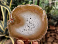 Polished Agate Slice x 4 From Brazil