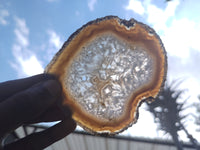 Polished Agate Slice x 4 From Brazil