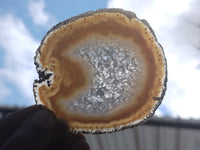 Polished Agate Slice x 4 From Brazil