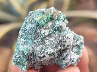 Natural Emerald Mica In Matrix Cobbed Specimens x 2.07 kg Lot From Mutoko, Zimbabwe