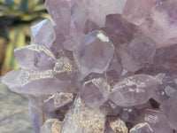 Natural Jacaranda Amethyst Quartz Cluster x 1 From Mumbwa, Zambia