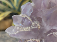 Natural Jacaranda Amethyst Quartz Cluster x 1 From Mumbwa, Zambia