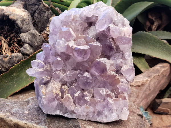 Natural Jacaranda Amethyst Quartz Cluster x 1 From Mumbwa, Zambia