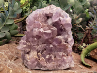 Natural Jacaranda Amethyst Quartz Cluster x 1 From Mumbwa, Zambia