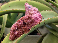 Natural Rhodonite Cobbed Specimens x 20 From Rhusinga, Zimbabwe