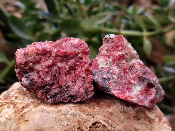 Natural Rhodonite Cobbed Specimens x 20 From Rhusinga, Zimbabwe