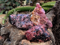 Natural Rhodonite Cobbed Specimens x 20 From Rhusinga, Zimbabwe