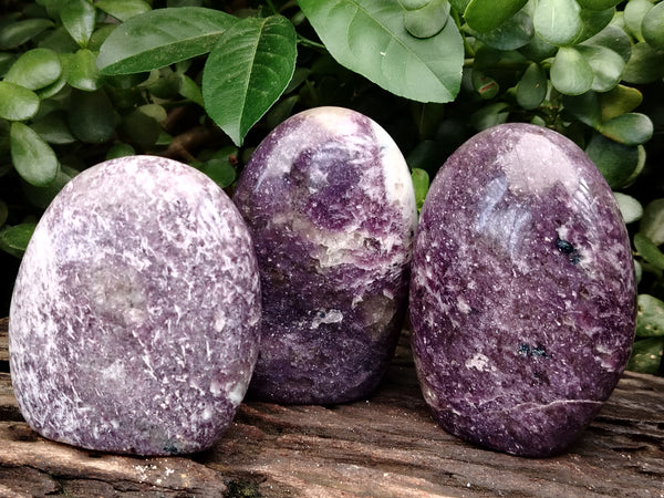 Polished Lepidolite Standing Free Forms x 3 From Vakinankaratra, Madagascar