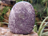 Polished Lepidolite Standing Free Forms x 3 From Vakinankaratra, Madagascar