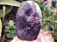 Polished Lepidolite Standing Free Forms x 3 From Vakinankaratra, Madagascar