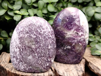 Polished Lepidolite Standing Free Forms x 3 From Vakinankaratra, Madagascar