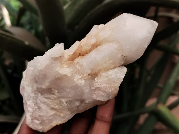 Natural Quartz Clusters x 3 From Madagascar