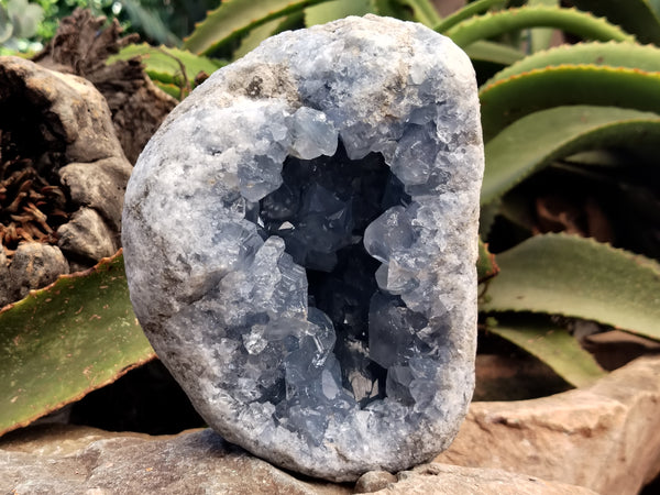 Natural Celestite Geode Specimen x 1 From Sakoany, Madagascar