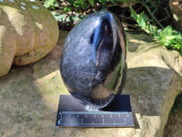 Polished Black Tourmaline Standing Free Form x 1 From Madagascar