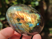 Polished Labradorite Palm Stones x 27 From Tulear, Madagascar